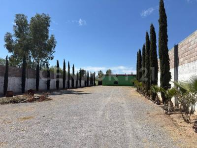 Mexquitic De Carmona, San Luis Potosi 78481, Mexico