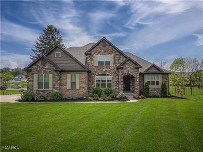 Medina, Ohio 44256, USA