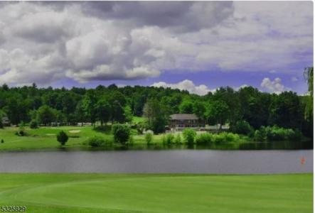 606 Sleepy Hollow Rd, Montague Twp., 新泽西州 07827, 美国