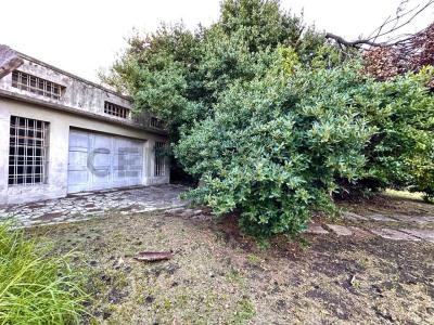 CORONEL VILELA 582, Ituzaingó, GBA Oeste 00001, アルゼンチン