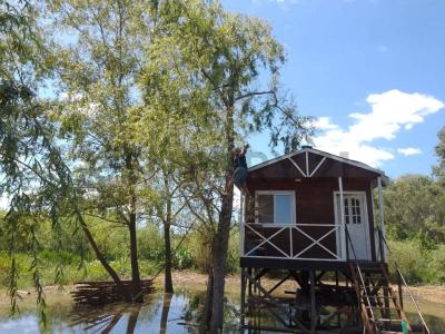 rio parana mini S/N, San Fernando, GBA Norte 1646, Argentina