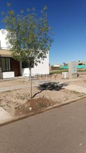 ADOLFO VILLANUEVA , Maipú, Mendoza 00001, Argentina