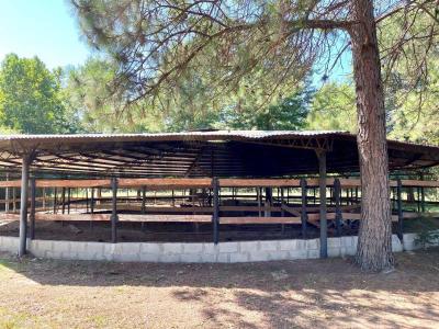 Luján, GBA Oeste 00001, 阿根廷