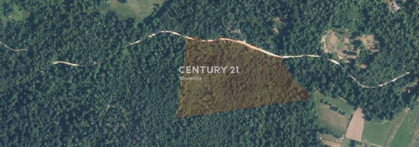 Postojna, Koče, Postojna, Notranjsko - Kraška, Словения