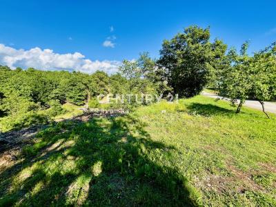 Tinjan, Tinjan, Istarska Županija 52444, קרואטיה