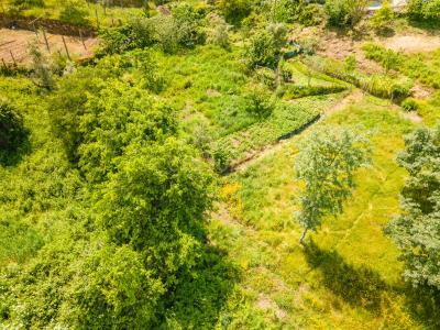 Marco de Canaveses, Porto 4630-110, Portugal