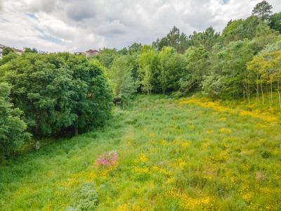 Marco De Canaveses, Porto 4630-110, Bồ Đào Nha