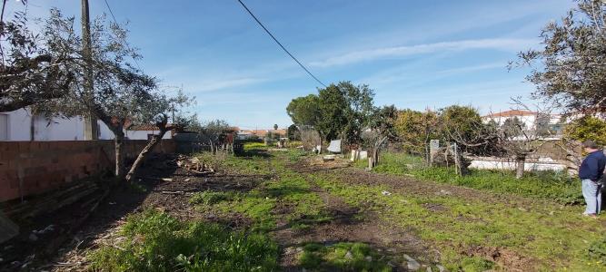 Moura, Beja 7885-064, Portugal