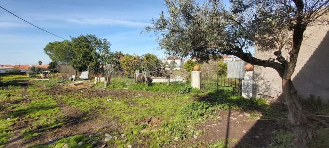 Moura, Beja 7885-064, Portugal