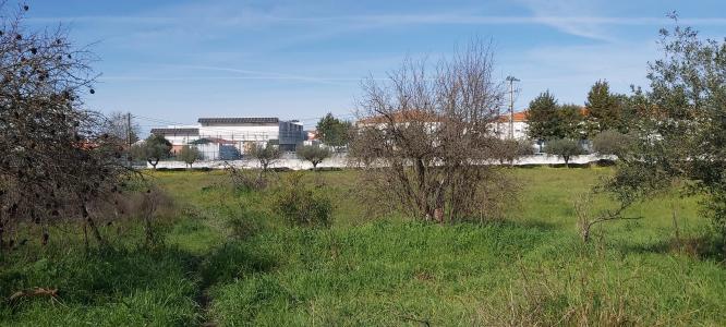 Moura, Beja 7885-064, Portugal