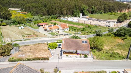 Cadaval, Lisbon 2550-074, Portugal