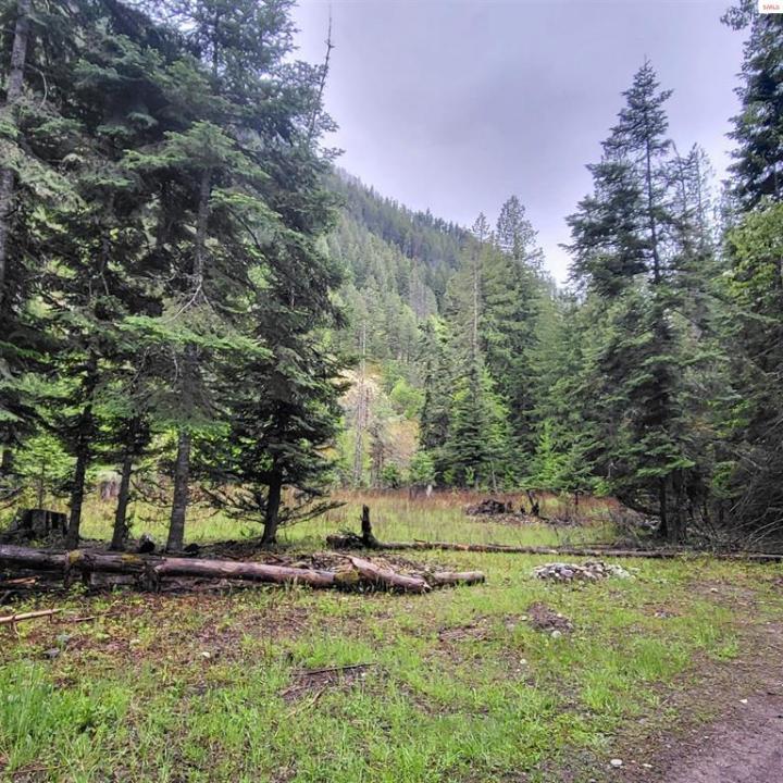 NNA Silver Ave, Bayview, Idaho 83803, HOA KỲ