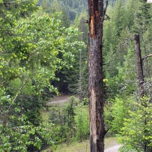 NNA Silver Ave, Bayview, Idaho 83803, HOA KỲ