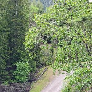 NNA Silver Ave, Bayview, Idaho 83803, USA
