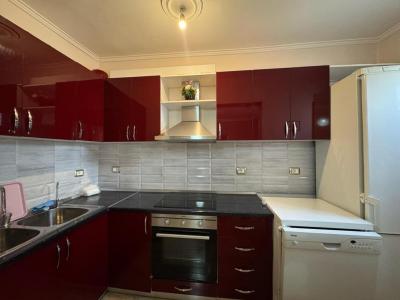 Irfan Tomini, Tirana, Albania