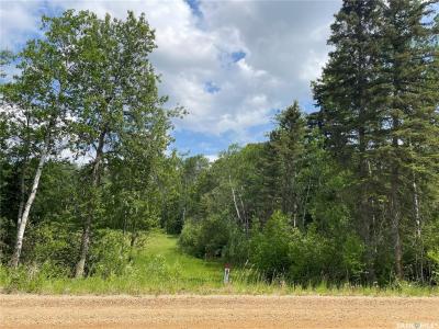 24 TRANQUILITY DRIVE, Big River Rm No. 555, Saskatchewan S0J 0E0, Canada