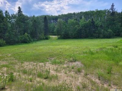 24 TRANQUILITY DRIVE, Big River Rm No. 555, Saskatchewan S0J 0E0, Canada