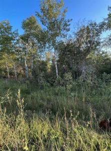 0 36N ROAD, La Broquerie, Manitoba R0A 0W1, Canada