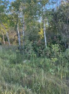 0 36N ROAD, La Broquerie, Manitoba R0A 0W1, Canada