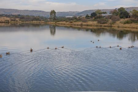 Krugersdorp, Gauteng, South Africa