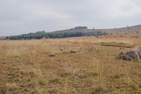 Krugersdorp, Gauteng, South Africa