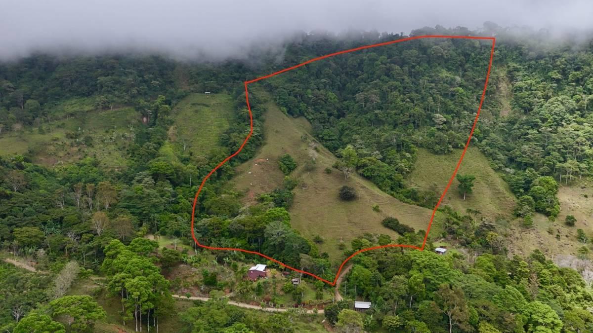 Barú Pérez Zeledón, San José 00001, Costa Rica
