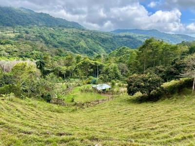 Barú Pérez Zeledón, San José 00001, Costa Rica