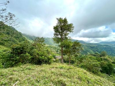 Barú Pérez Zeledón, San José 00001, Costa Rica