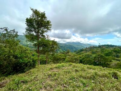 Barú Pérez Zeledón, San José 00001, Costa Rica