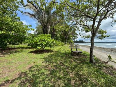 Puerto Jiménez Puerto Jiménez Golfito, Puntarenas 00001, Kostaryka