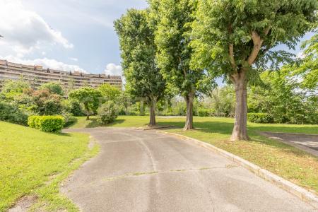 Via Moggio Udinese, Roma, Lazio 00188, İtalya