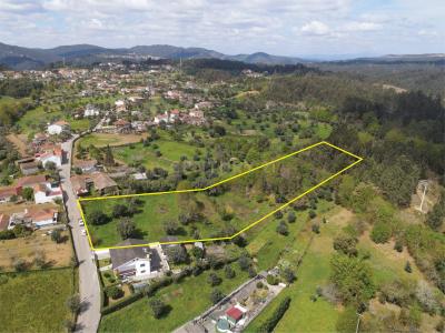 Vila Nova de Poiares, Coimbra 3350-019, Portugal