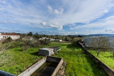 Cadaval, Lisbon 2550-500, Portugal