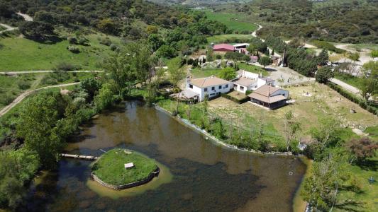 Málaga, Andalucía 29230, Spain
