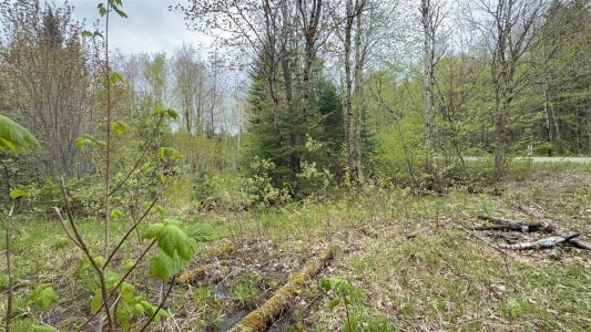 101 Ch. des Appalaches, Notre-Dame-des-Bois, 魁北克省 J0B 2E0, 加拿大