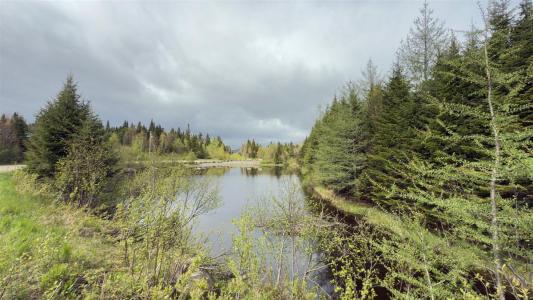 101 Ch. des Appalaches, Notre-Dame-des-Bois, 魁北克省 J0B 2E0, 加拿大
