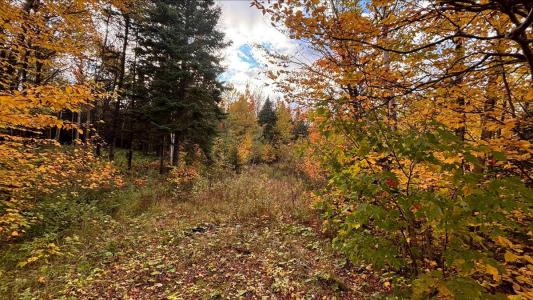 101 Ch. des Appalaches, Notre-Dame-des-Bois, 魁北克省 J0B 2E0, 加拿大
