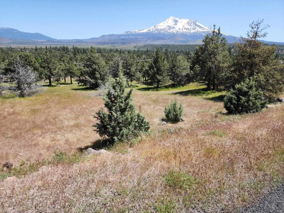 Lot 81 Unit 3 Dwinelle, Weed, California 96037-0000