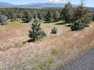 Lot 81 Unit 3 Dwinelle, Weed, California 96037-0000