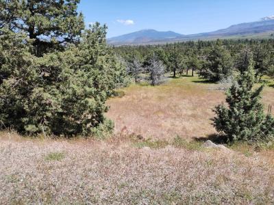 Lot 81 Unit 3 Dwinelle, Weed, California 96037-0000
