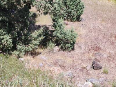 Lot 81 Unit 3 Dwinelle, Weed, California 96037-0000