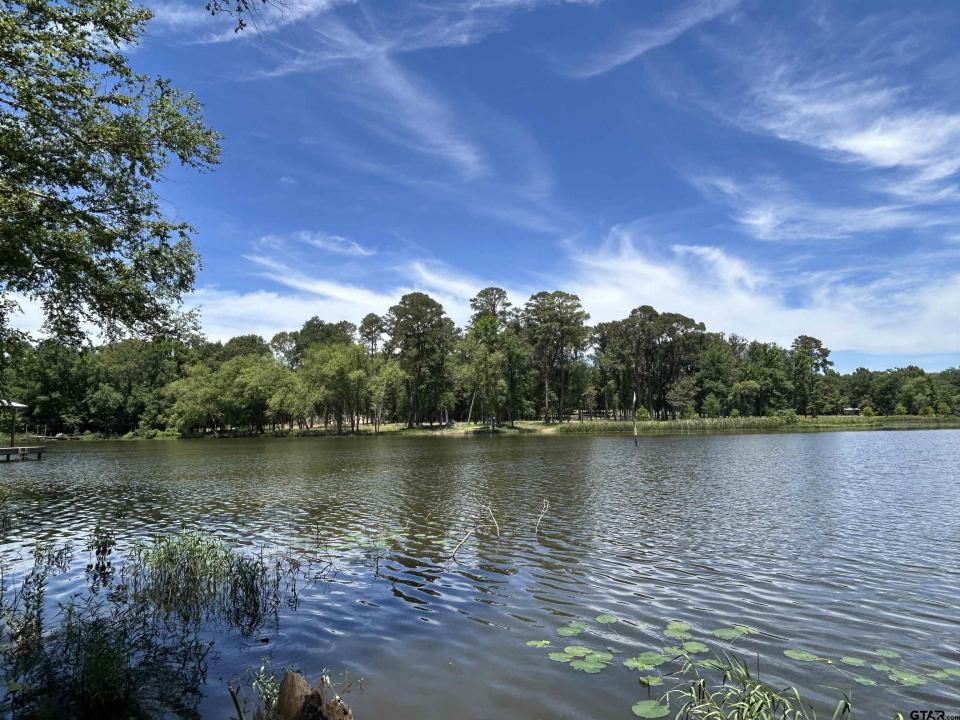 LOT TR 5B STEVENSON RD, Frankston, Texas 75763, Estados Unidos