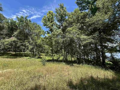 LOT TR 5B STEVENSON RD, Frankston, Texas 75763, Estados Unidos