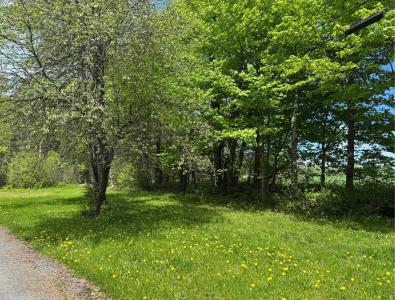 24 A Frame Drive, Burke, 佛蒙特州 05871, 美國