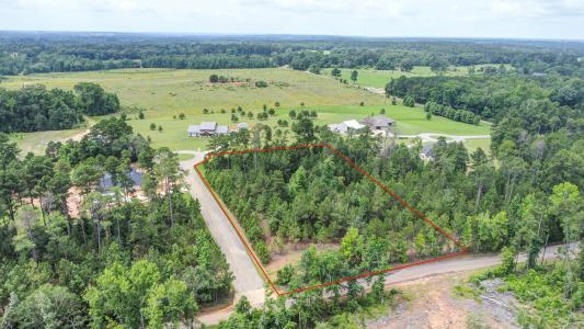 Lot 4,Blk 2 Loblolly Lane , Henderson, Texas 75654, États-Unis