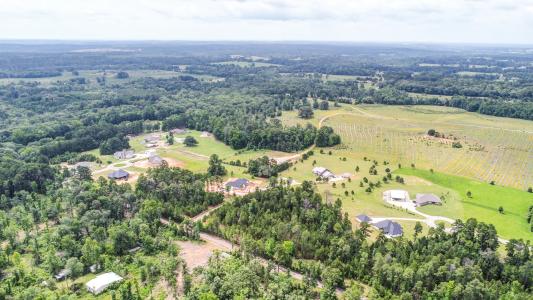 Lot 4,Blk 2 Loblolly Lane , Henderson, テキサス 75654, アメリカ合衆国