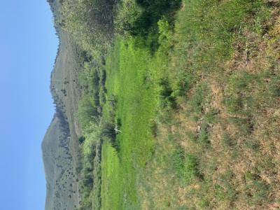 Lot 1 Paradise Park Rd 030060038, Lapoint, Utah 84039, États-Unis