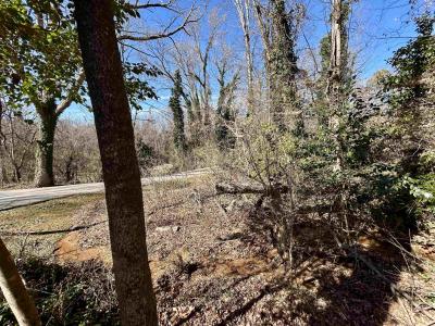 Lot 46 Forest Hills Drive, Gaffney, サウスカロライナ 29340, アメリカ合衆国