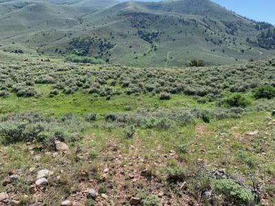 Lot 5 Paradise Park Road 030060042, Lapoint, Utah 84039, États-Unis