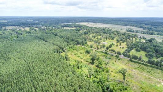 6 +/- ac CR 317 S, Henderson, Texas 75652, Estados Unidos
